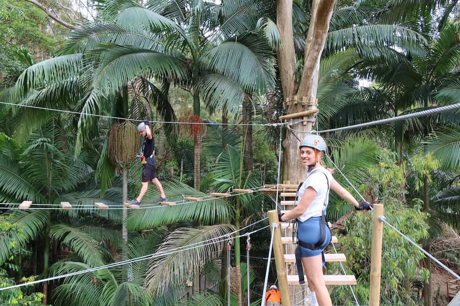 Currumbin Wildlife Sanctuary & TreeTop Challenge Combo - Currumbin Wildlife Sanctuary, real animal time and great bird viewing