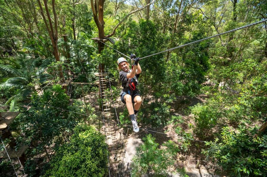 Currumbin Wildlife Sanctuary & TreeTop Challenge Combo - The best way to schedule your 7-hour combo day
