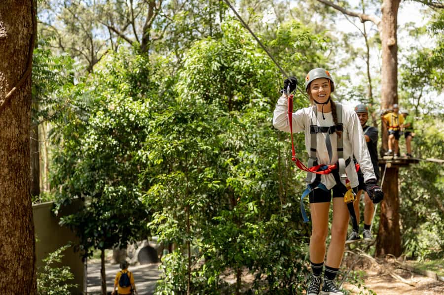 Currumbin Wildlife Sanctuary & TreeTop Challenge Combo - Price and value for $77, what makes it feel fair