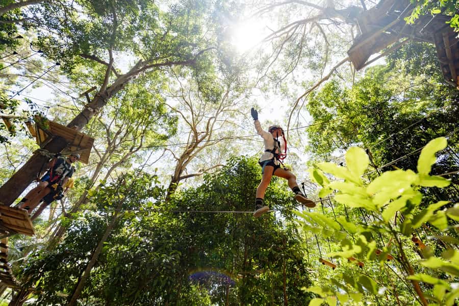 Currumbin Wildlife Sanctuary & TreeTop Challenge Combo - Tips that make the day smoother, especially if crowds happen