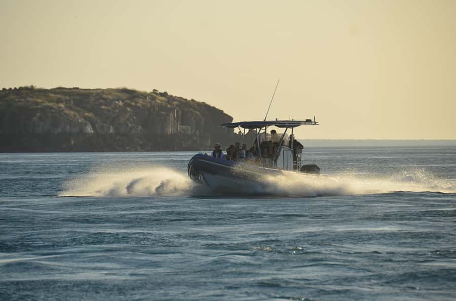 Cygnet Bay Island Explorer Scenic Cruise Experience - Why outgoing tides are the main character here
