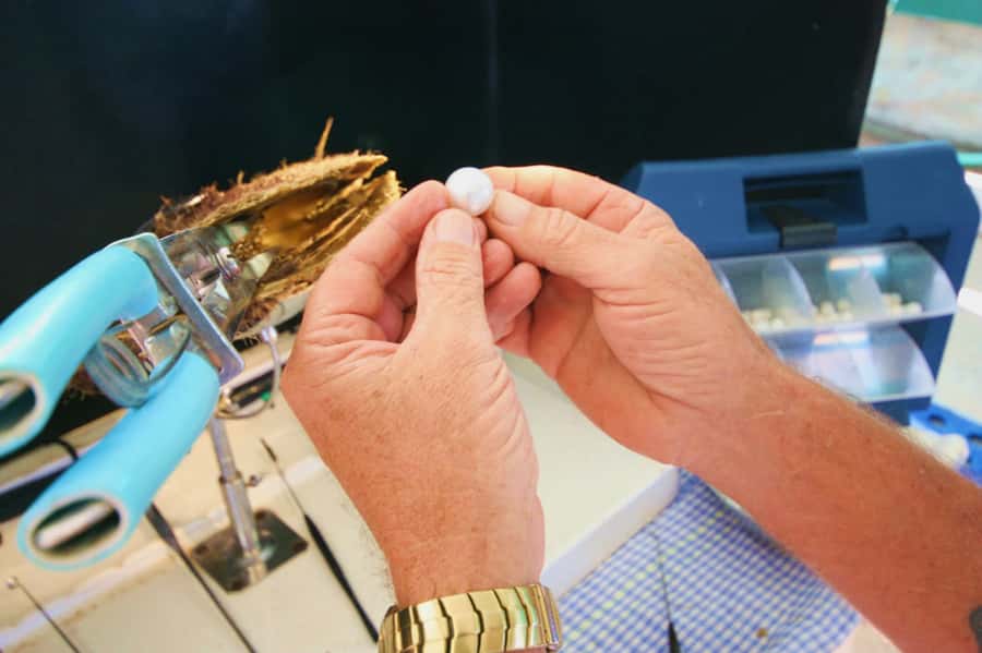 Cygnet Bay Pearl Farm Behind-the-Scenes Tour & Live Harvest - What happens during the 1-hour guided tour