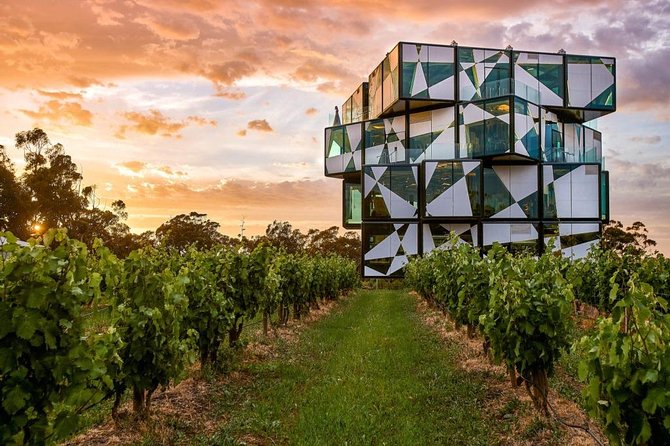 d'Arenberg Cube / McLaren Vale Regional Tour - Key points worth noting