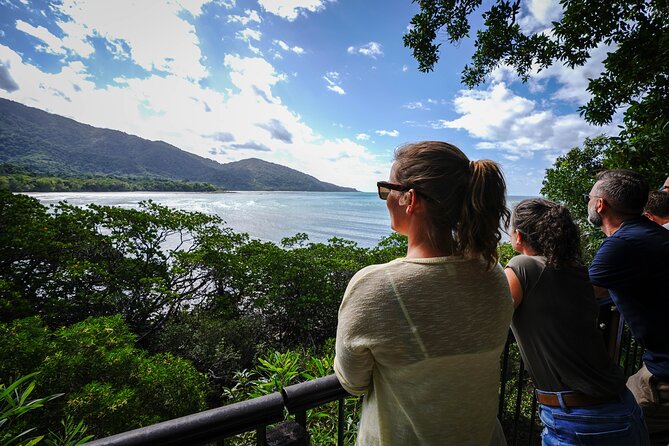 Daintree, Cape Tribulation & River Cruise from Port Douglas - How This Port Douglas Day Trip Works (and Why It Feels Efficient)