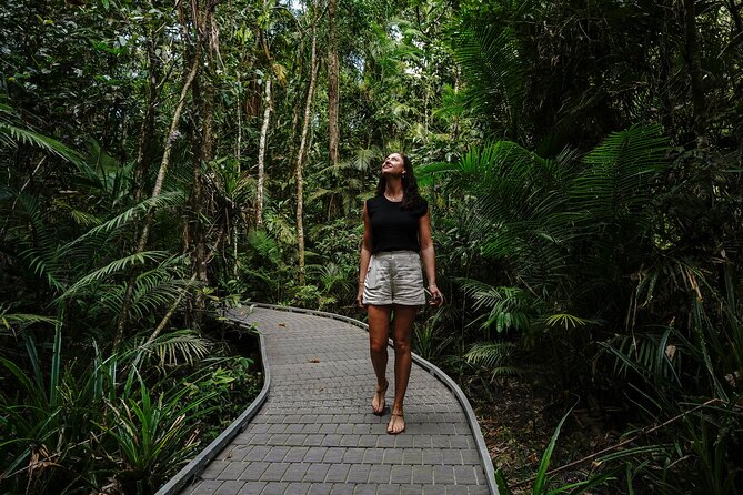Daintree, Cape Tribulation & River Cruise from Port Douglas - Daintree National Park Boardwalk: Learning How the Rainforest Lives