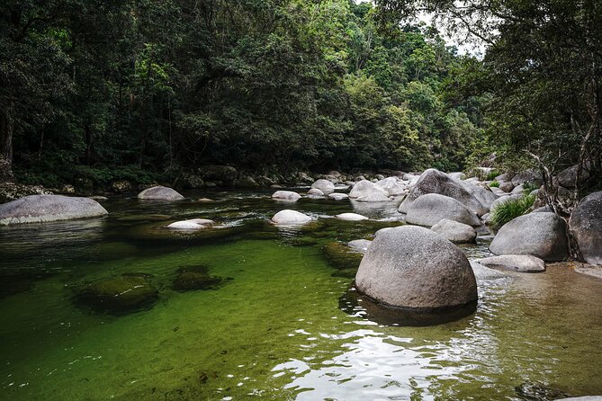 Daintree, Cape Tribulation & River Cruise from Port Douglas - Cooper Creek Swim Stop: A Refreshing Break with a Big Safety Note