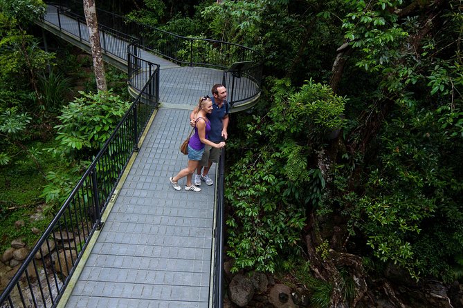 Daintree Rainforest and Cape Tribulation Day Tour from Cairns - Daintree River cruise: where crocs, birds, and riverbanks steal the show