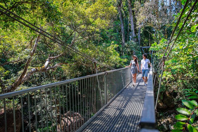 Daintree Rainforest and Cape Tribulation Day Tour from Cairns - Cape Tribulation Beach: where the rainforest meets the Coral Sea