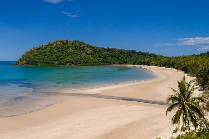 Daintree Rainforest and Cape Tribulation Day Tour from Cairns - Mount Alexandra Lookout and the ferry crossing: the quick checkpoints that add up