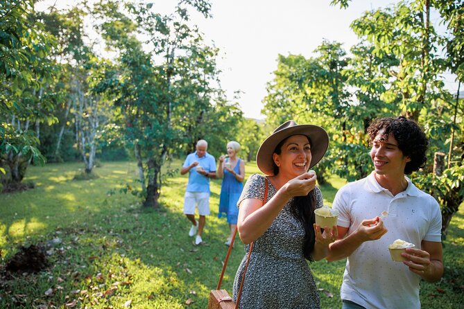 Daintree Rainforest and Cape Tribulation Day Tour from Cairns - Daintree Ice Cream Company: the snack stop that actually feels local