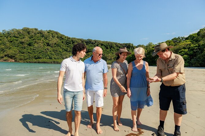 Daintree Rainforest and Cape Tribulation Day Tour from Cairns - Mossman Gorge Cultural Centre walk: rainforest first, Kuku Yalanji context included