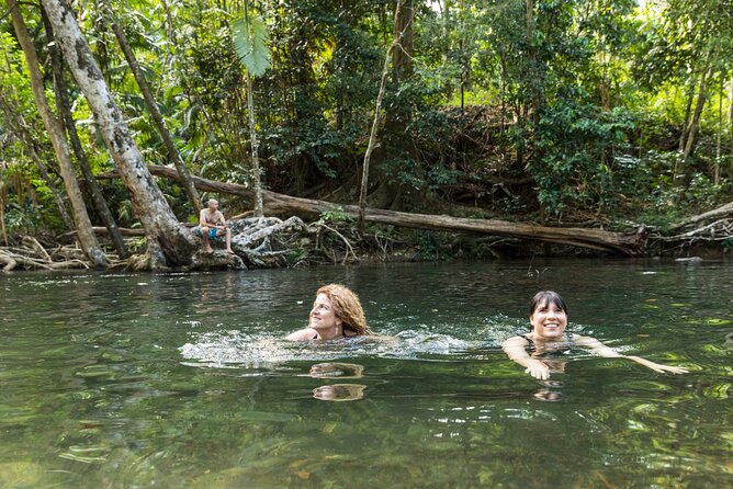 Daintree Rainforest and Cape Tribulation Full Day Tour - Why this Daintree-Cape Tribulation day works so well