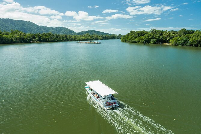 Daintree Rainforest and Cape Tribulation Full Day Tour - Daintree river cruise: the crocodile hunt with real context
