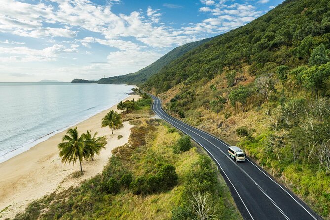 Daintree Rainforest and Cape Tribulation Full Day Tour - Billy Tea Safaris and Mount Alexandra lookout: quick wins near the start