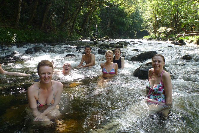 Daintree Rainforest, Mossman Gorge Small-Group from Port Douglas - Daintree River cruise, the calm ride where sightings are a bonus