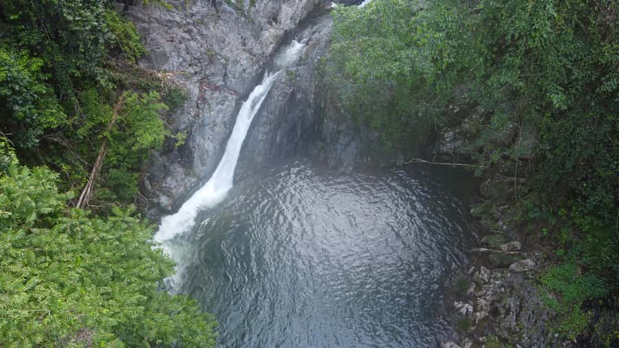 Daintree Rainforest: Waterfall Walk, Swim & Crocodile Cruise - Swimming beneath the waterfall: what’s included and how to plan