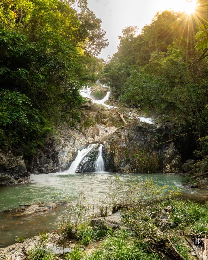 Daintree Rainforest: Waterfall Walk, Swim & Crocodile Cruise - Lunch at a rainforest restaurant, with real menu choices
