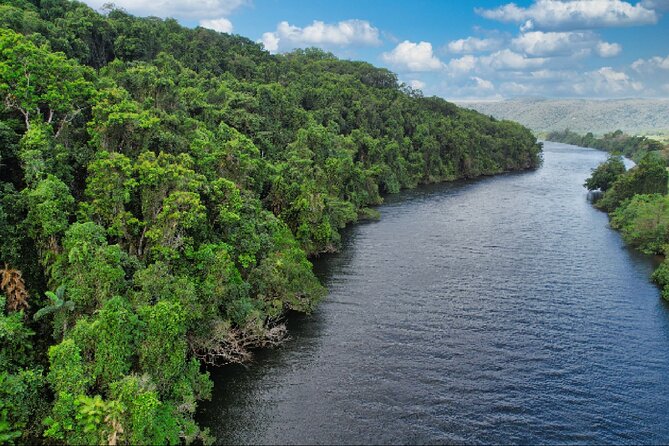 Daintree River Cruise - Timing, weather, and managing crocodile expectations