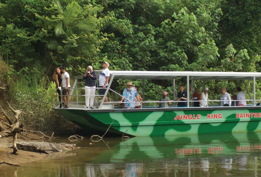 Daintree: River Rainforest Crocodile & Wildlife Cruise (DV) - Crocodiles: how the odds change and how to set expectations