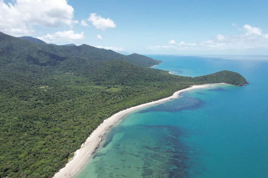 Daintree River Rainforest: Crocodile & Wildlife Cruises (DG) - Timing, tides, and weather: boosting your odds without losing your day