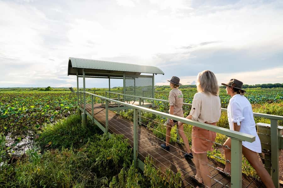 Darwin: 4-Day Kakadu Katherine Gorge Cultural Experience - What to bring, what to skip, and how to avoid common problems