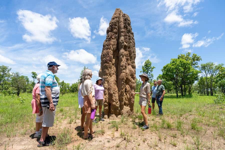 Darwin: 5-Day 4WD Kakadu Litchfield Tour & Billabong Cruise - 4WD camping in the Top End, what the rhythm really feels like