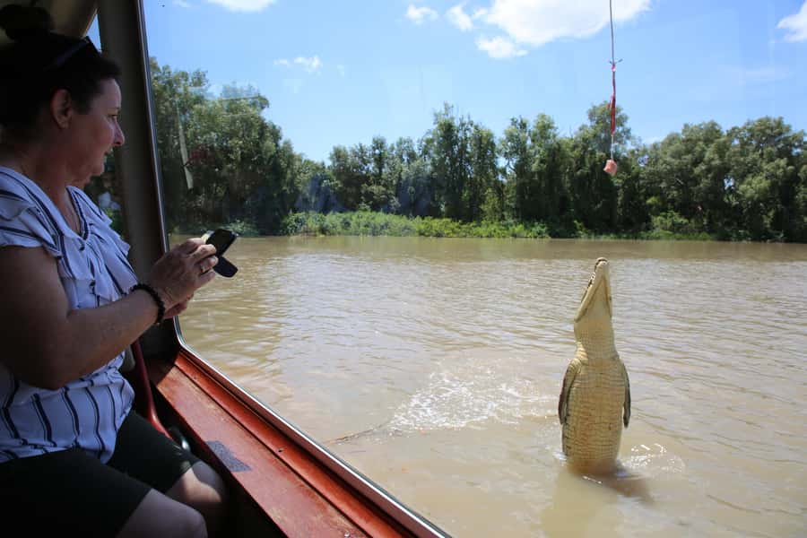 Darwin: Adelaide River Queen Original Jumping Crocodiles - Key moments that make this cruise worth your hour