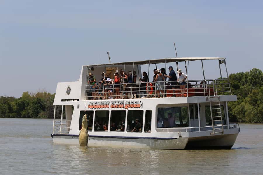 Darwin: Adelaide River Queen Original Jumping Crocodiles - What you’ll see on the water: jumping crocodiles in murky river conditions