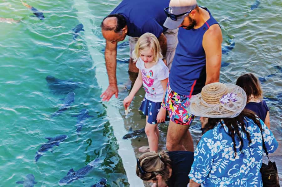 Darwin: Aquascene Fish Feeding Experience - Comfort and safety: the small choices that make the experience better
