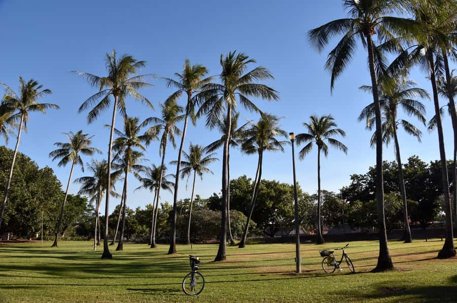 Darwin: Big Bus Open-Top Hop-on Hop-off Tour - The Route That Helps You Decide: 12 Stops, Real Priorities