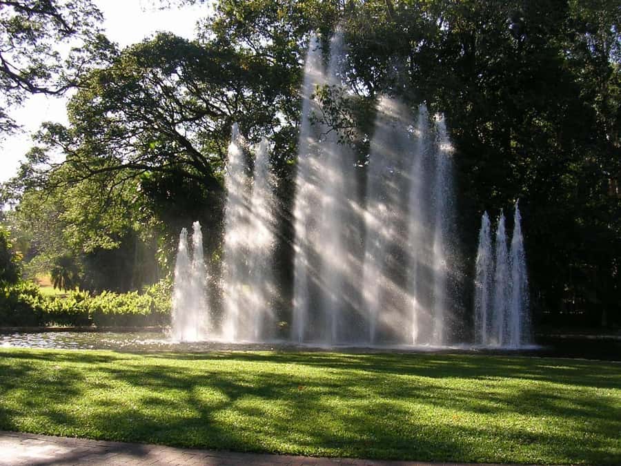 Darwin: City Explorer Bus Tour with Tour Tub - Why a 5-Hour Darwin Bus Loop Makes Sense