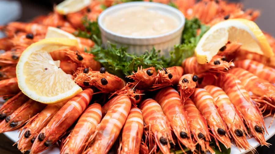 Darwin: Darwin Harbor Sunset Cruise with Buffet Dinner - Tips to Get the Most From Your 5:30 PM Start