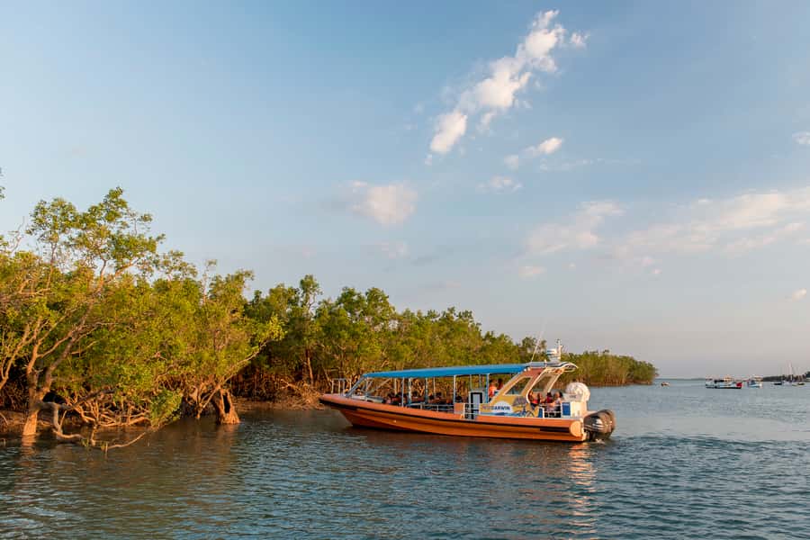 Darwin Harbour Cruise - Key things you’ll enjoy most on the Darwin Harbour cruise