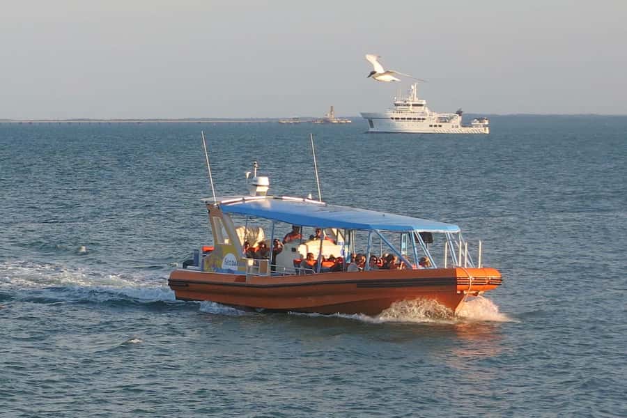Darwin Harbour Cruise - Passing Coonawarra Navy Base: modern Defence on the same water