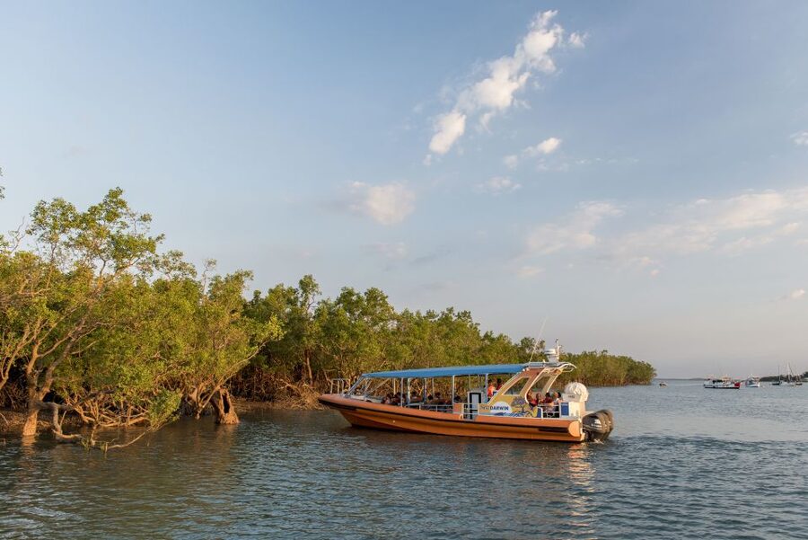 Darwin Harbour Cruise - Eco-accredited, culturally aware, and what that looks like on the water