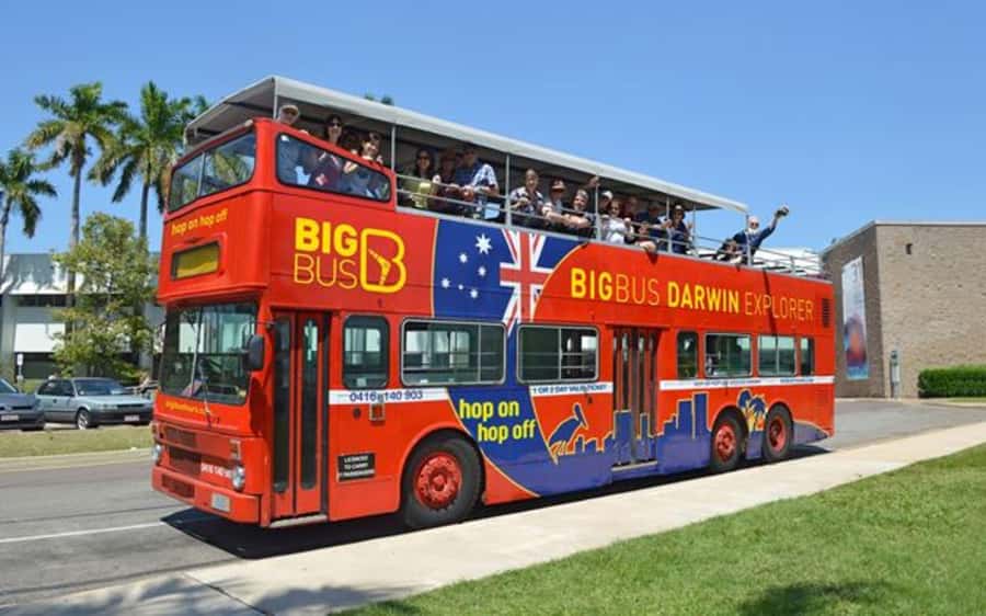 Darwin: Hop-On Hop-Off Bus, Crocosaurus Cove and RFDS Entry - Key Things to Know Before You Go