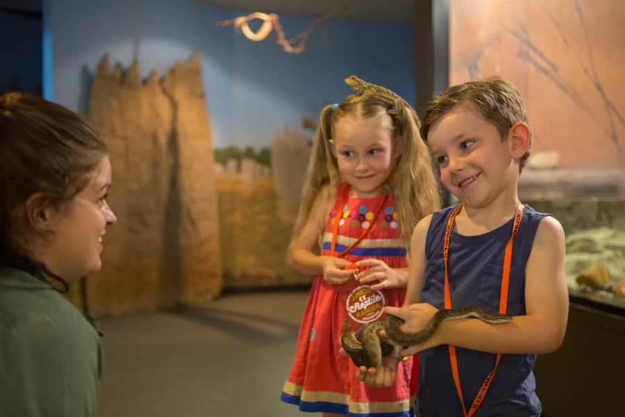 Darwin: Hop-On Hop-Off Bus, Crocosaurus Cove and RFDS Entry - What You Actually Get for Your $81 Per Person