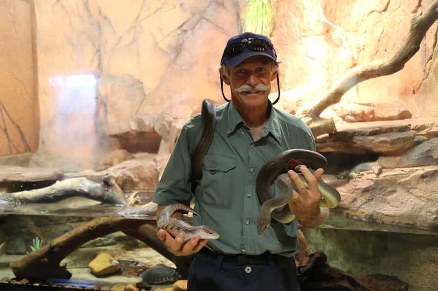 Darwin: Hop-On Hop-Off Bus, Crocosaurus Cove and RFDS Entry - Crocosaurus Cove: Why This Stops Is Worth a Full Day