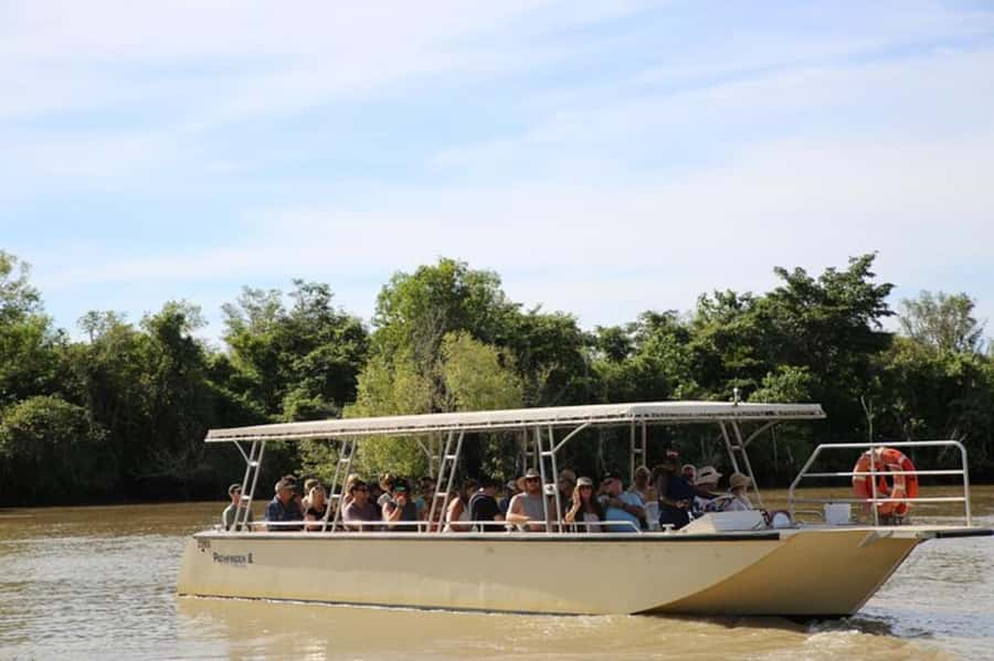 Darwin: Jumping Crocodile Adventure Cruise with Lunch - Key things you’ll remember