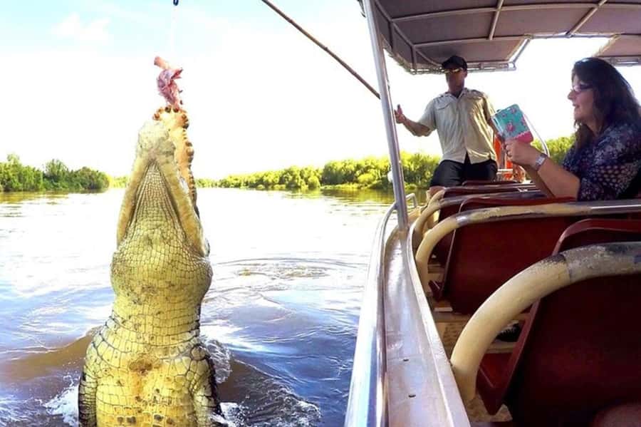 Darwin: Jumping Crocodile Adventure Cruise with Lunch - Pickup, Timing, and How to Plan Your Morning Smoothly