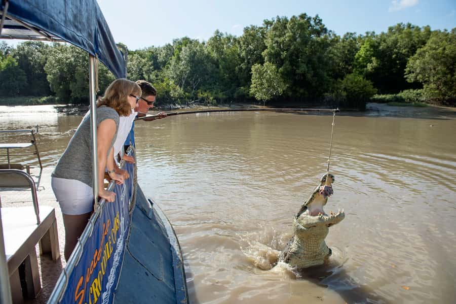 Darwin: Jumping Crocodile River Cruise with Shuttle Bus - Should you book the Jumping Crocodile River Cruise with shuttle?