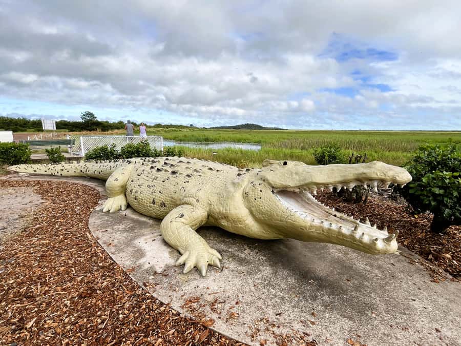 Darwin: Jumping Crocodile River Cruise with Shuttle Bus - Rain plans, timing, and who this is best for