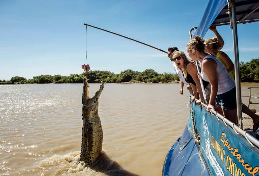 Darwin: Jumping Crocodile River Cruise with Shuttle Bus - The 270-minute rhythm: shuttle out, one-hour cruise, then a break