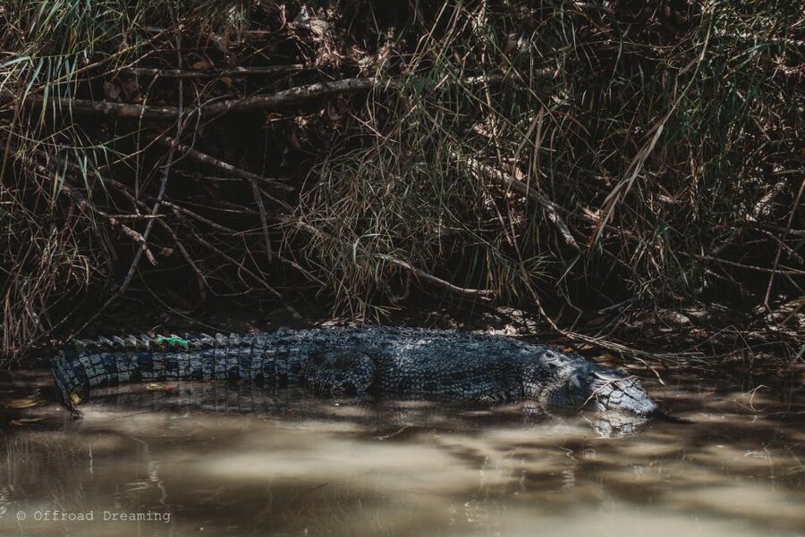 Darwin: Kakadu National Park Day Tour with Lunch - Arnhem Land shore visit: a special access, handled with respect
