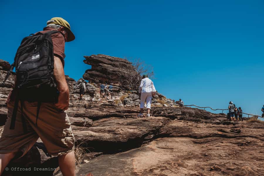 Darwin: Kakadu National Park Day Tour with Lunch - Lunch, snacks, and the comfort details that keep you going