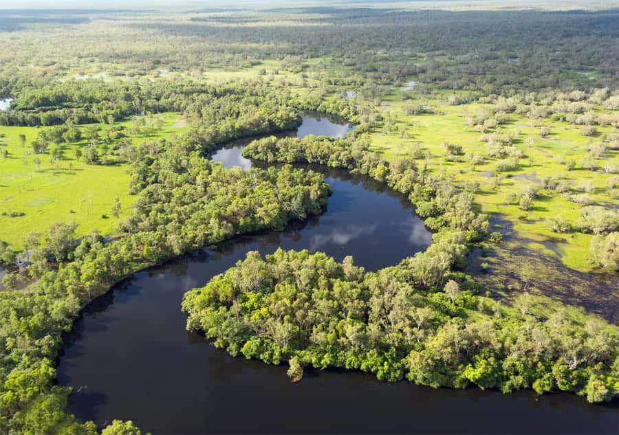 Darwin: Kakadu National Park Day Trip - Yellow Water Billabong Cruise: Crocodiles, Birds, and Wet-Season Changes