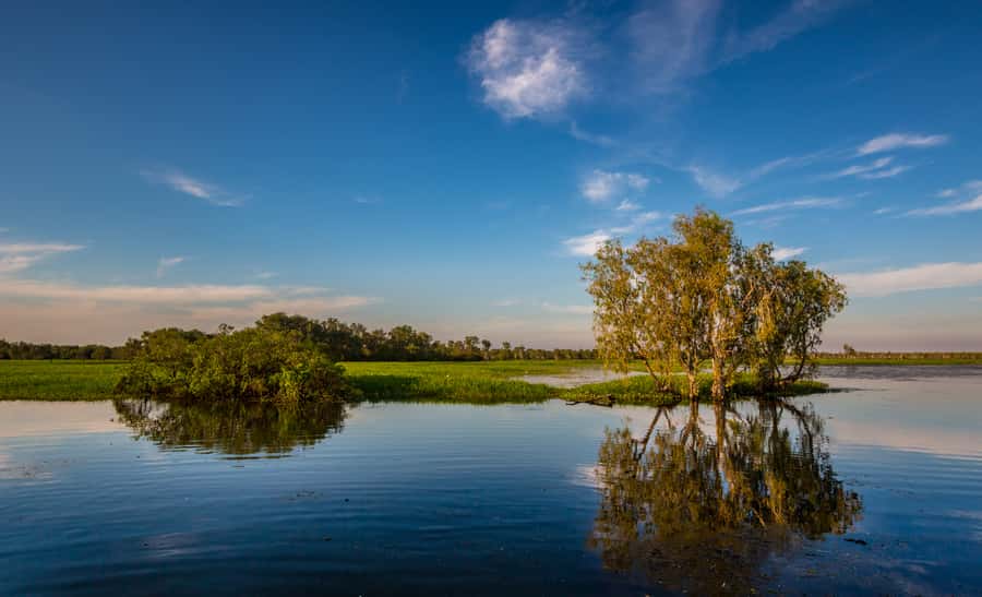 Darwin: Kakadu National Park Day Trip - Lunch at Barra Bar and Bistro: A Break That Keeps the Day Moving