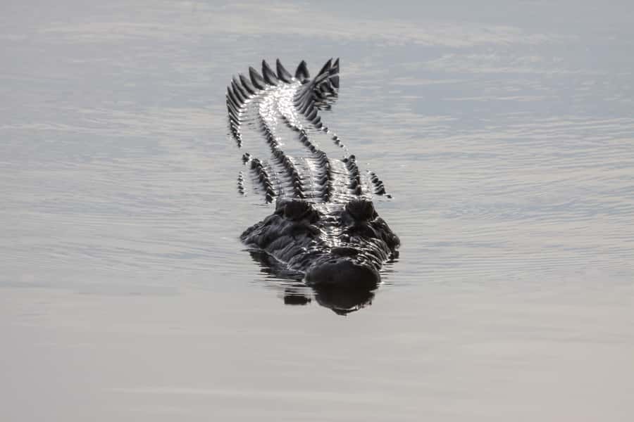 Darwin: Kakadu National Park Day Trip - Weather and Day-of Reality in the Top End