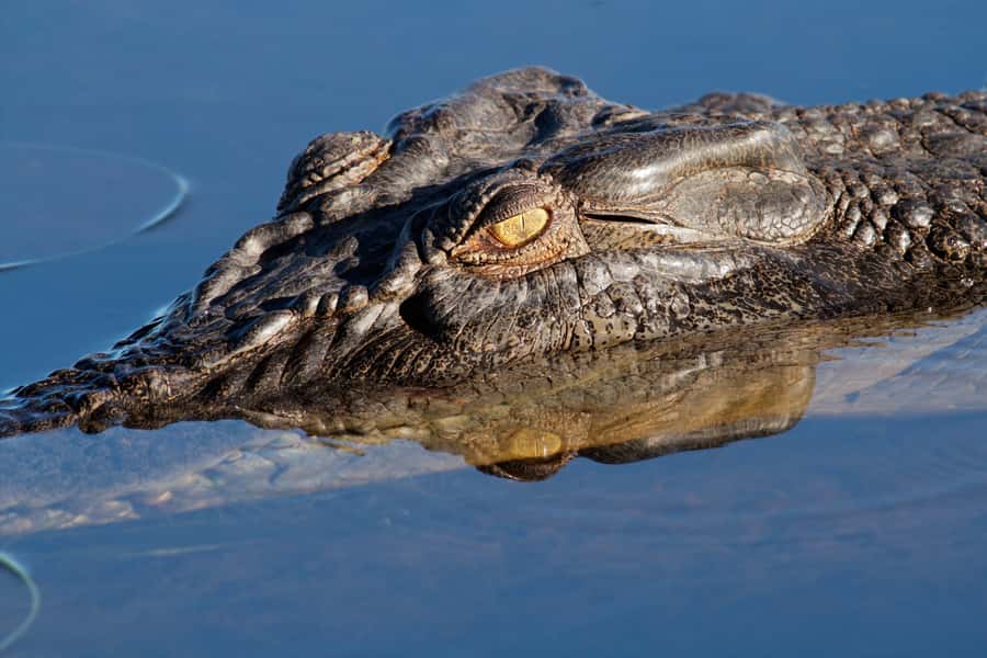 Darwin: Kakadu National Park Day Trip - Price and Logistics: Is This $636 Day Trip Good Value?