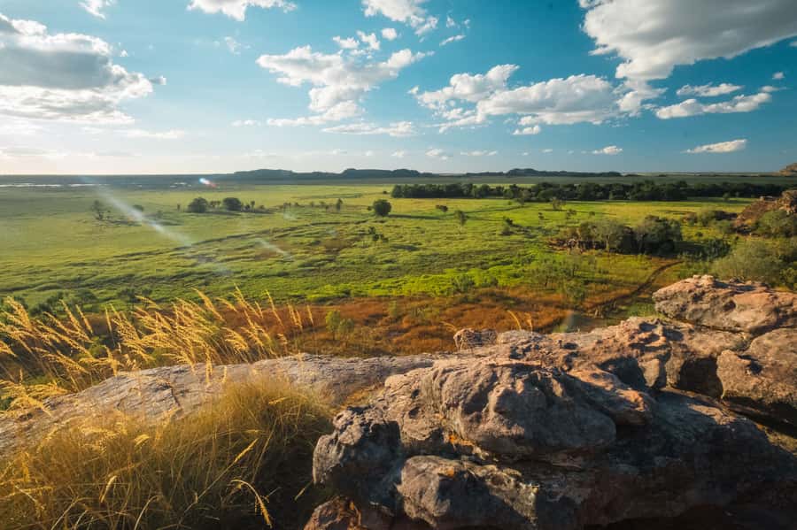 Darwin: Kakadu & Ubirr Cultural Experience - Packed lunch with Indigenous bush foods, and a view to match